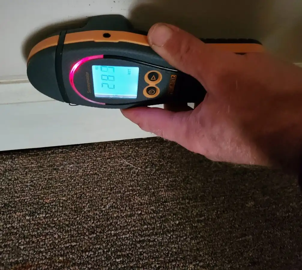 Moisture detection at baseboard during Sewage Cleanup & Sanitation in Haddam